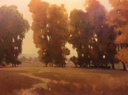 Backlit Cottonwoods (nc) 36x48