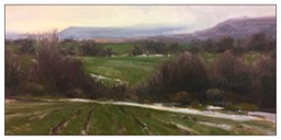 Three Spring Fields Study (nc) 10x20