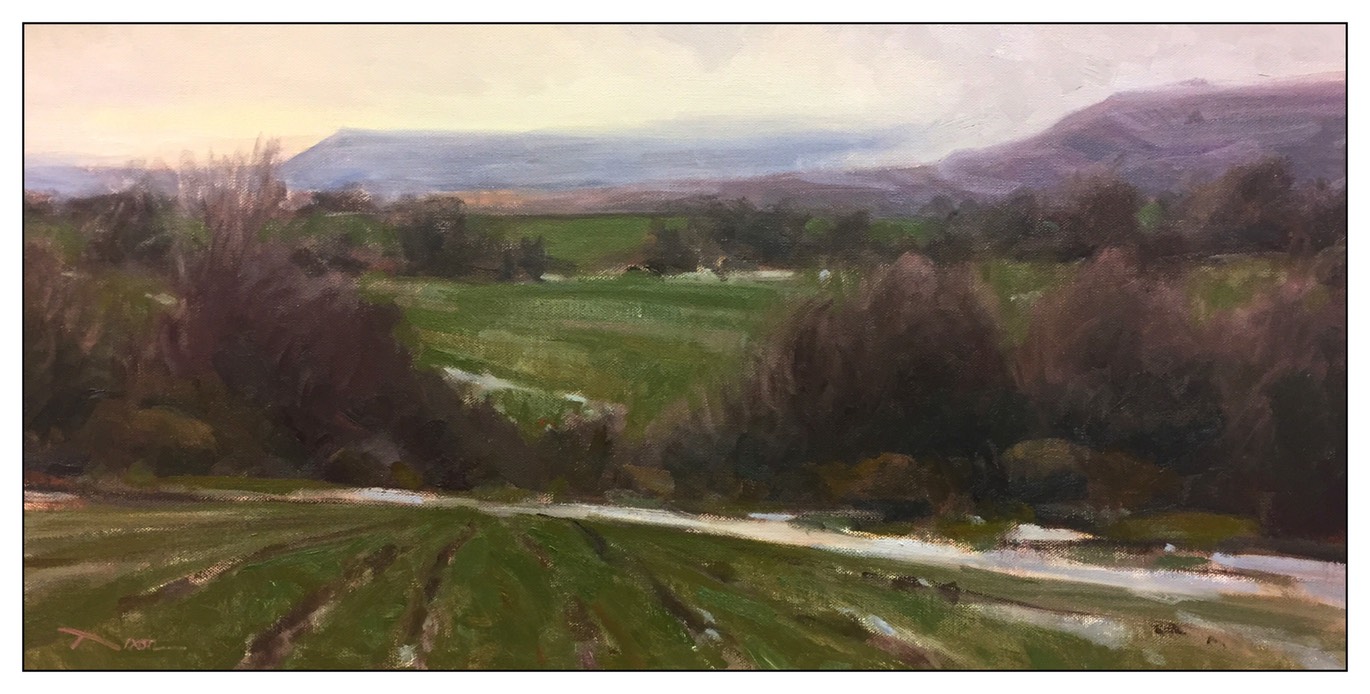 Three Spring Fields Study (nc) 10x20